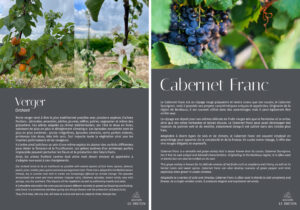 Carnet biodiversité