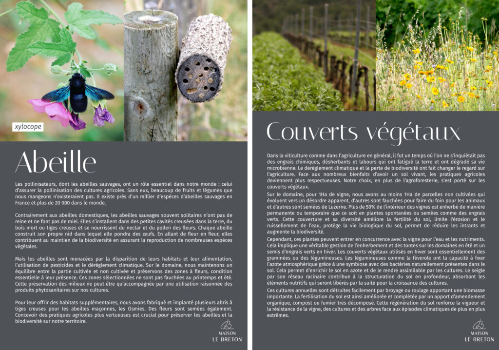 Carnet biodiversité