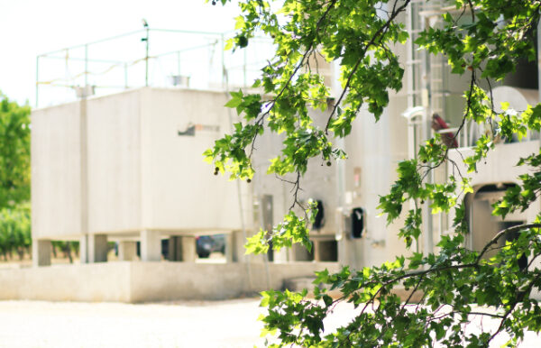 Petit Tour Mas Petit Tour du Mas