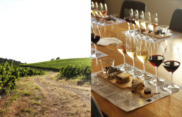 Wine Tour Gourmand Wine Tour Gourmand