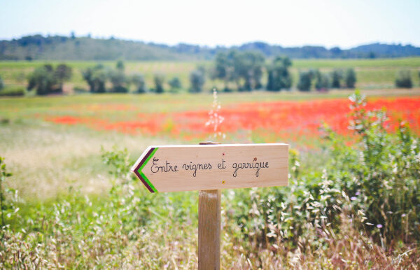 Vignes Balade