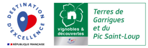 Vignobles et Découvertes x Destination d'Excellence
